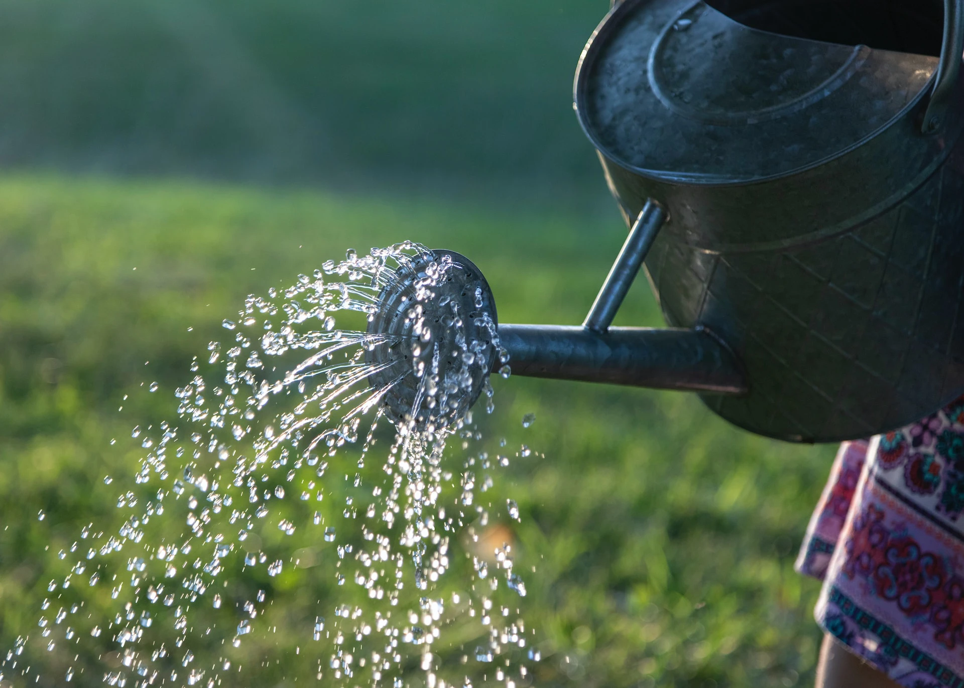 Understanding water conservation