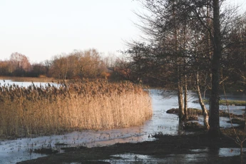 Is it worth buying a property in a flood risk area?