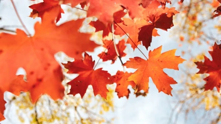 Get your home ready for Autumn