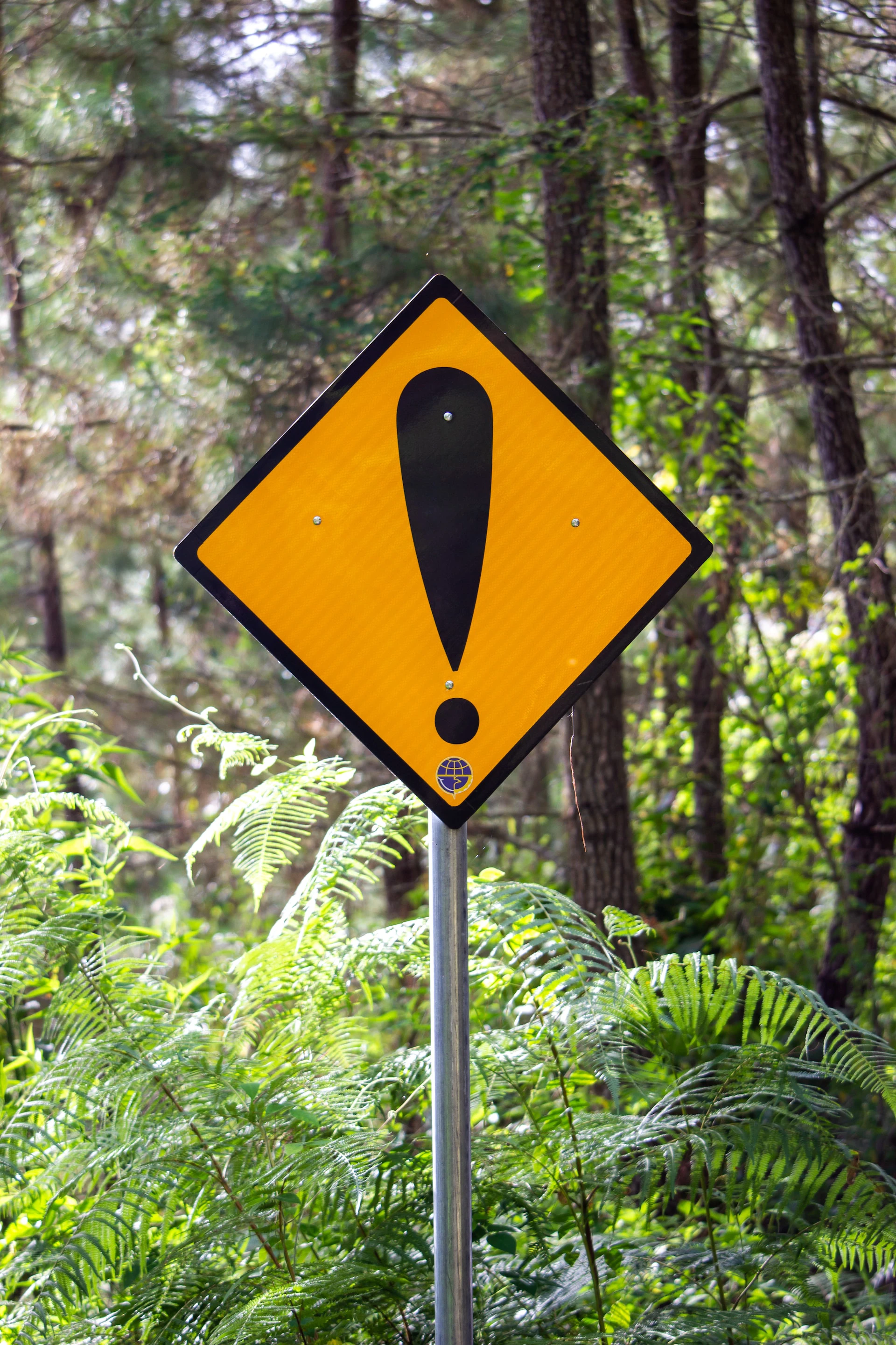 Yellow caution sign in the woods warning of potential danger