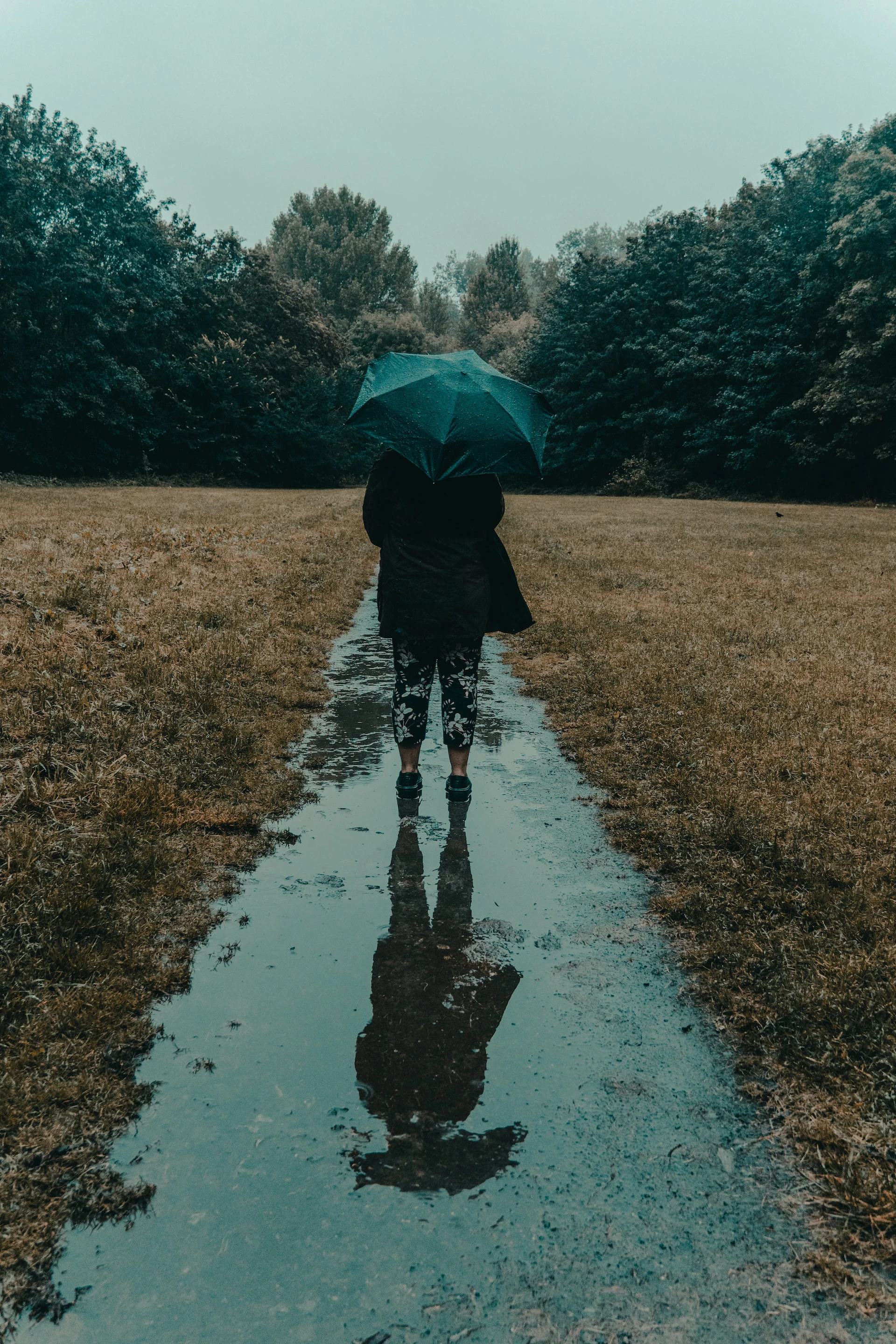 person walking down path in the rain holding umbrella