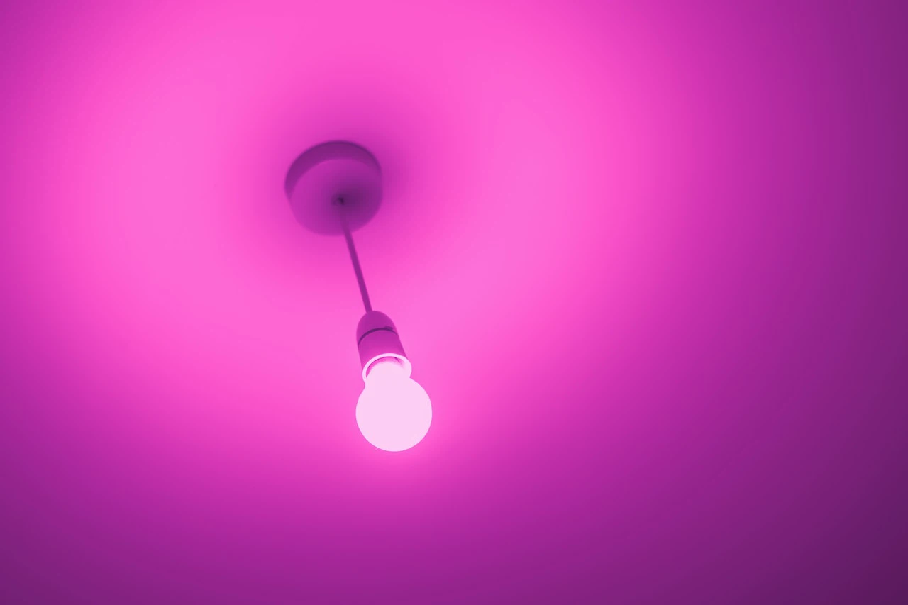 LED bulb emitting purple light