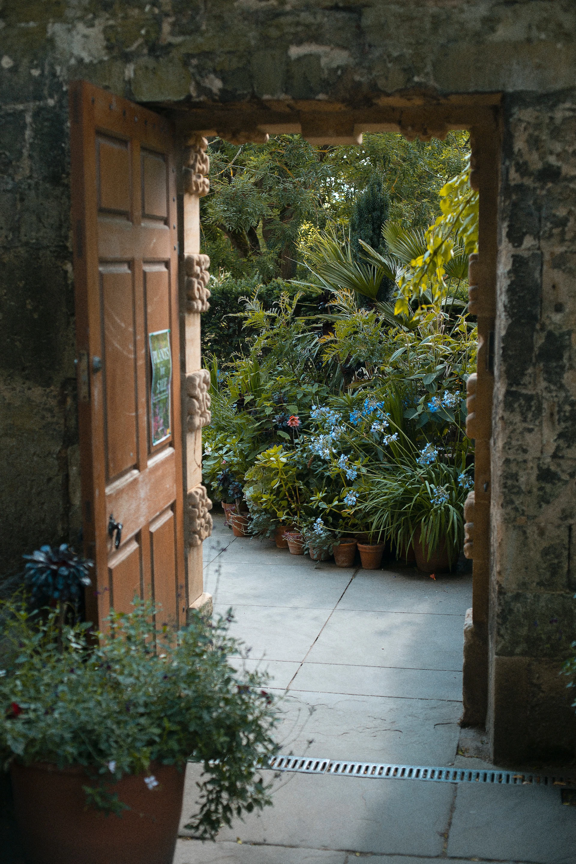 wooden door opening onto lush green garden