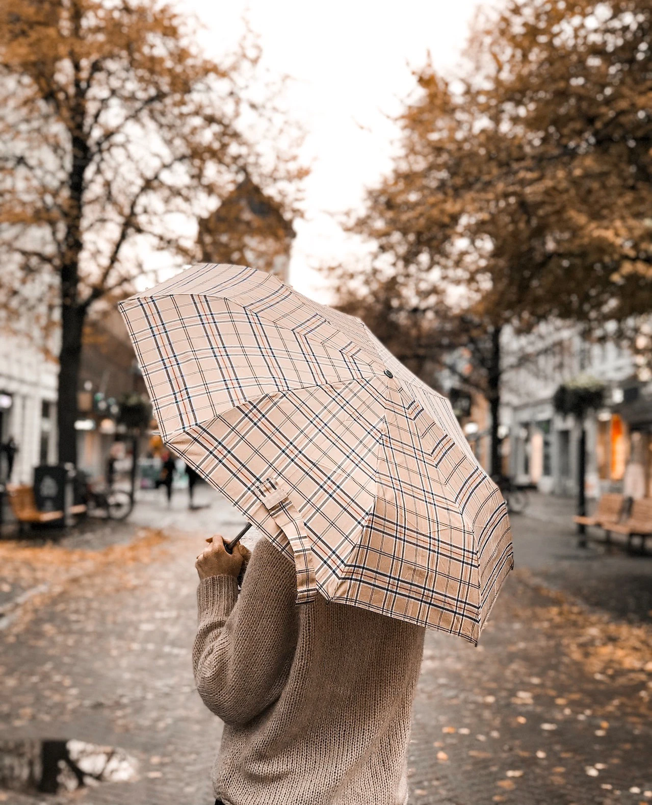 Person holding an umbrella during a rainy day