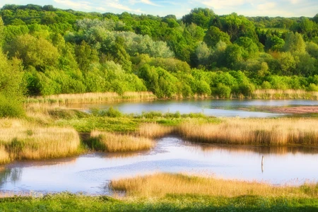 Hamstead Sandwell