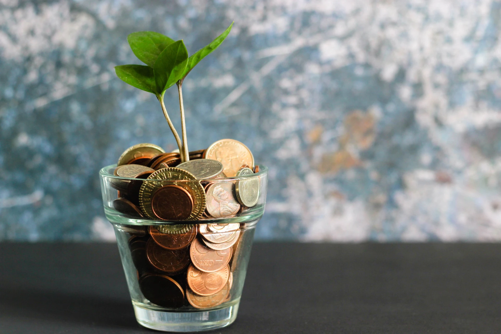 plant growing out of a jar of coins