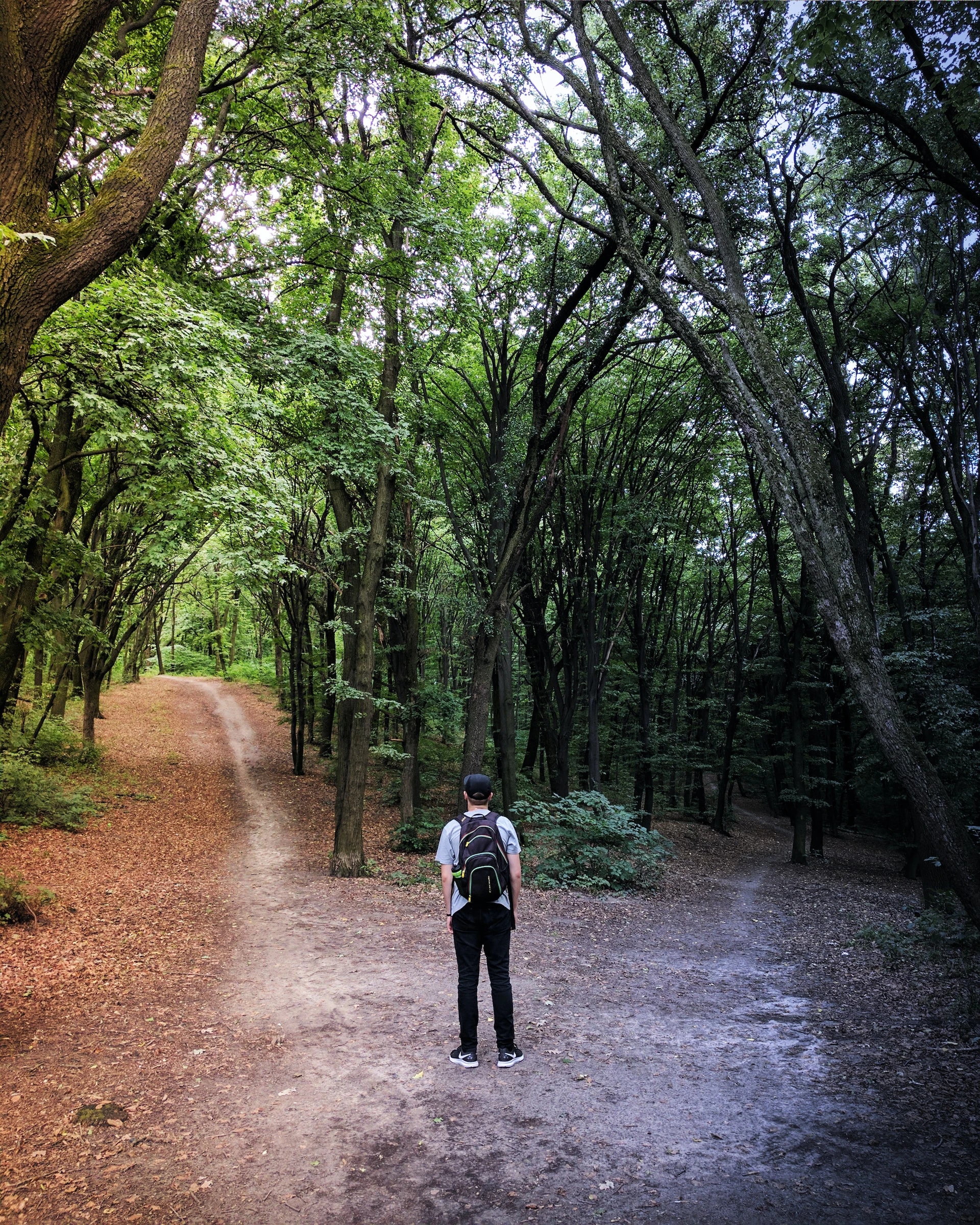 man standing at fork in the roads in a green forest