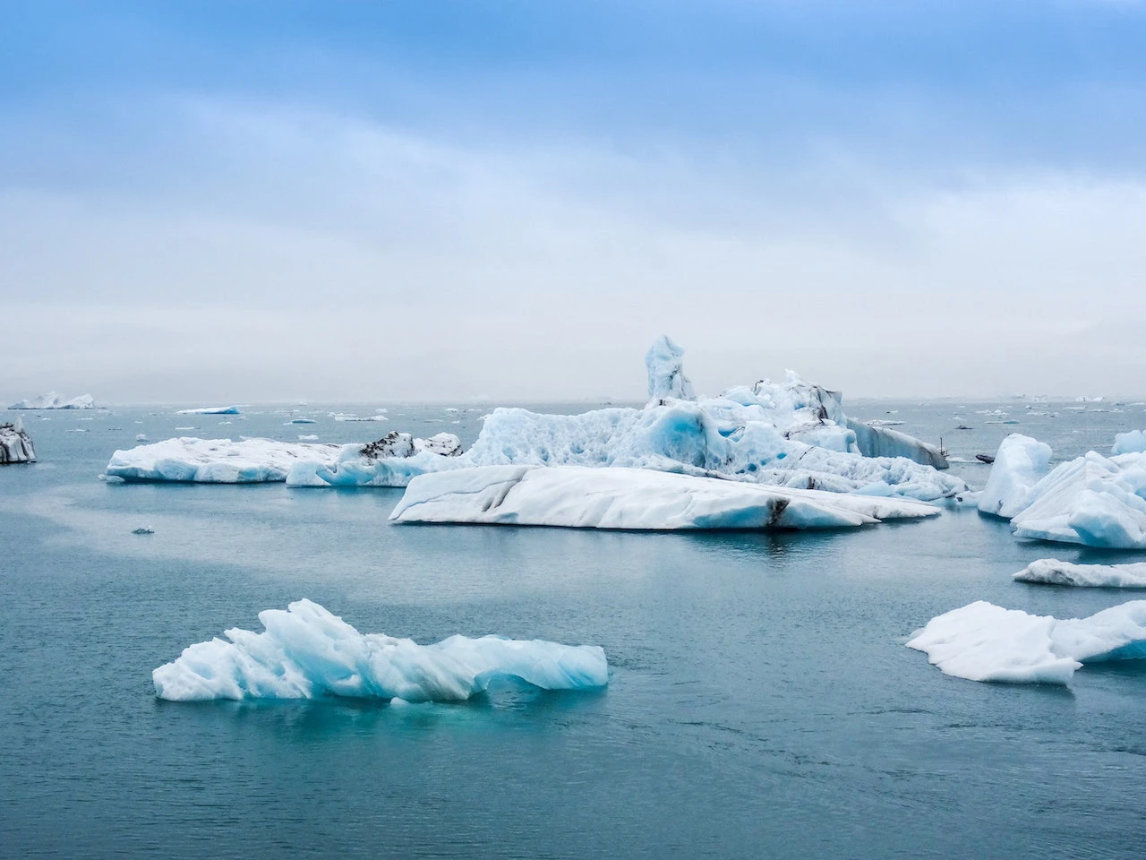 Small icebergs in the sea that look like they may be melting.