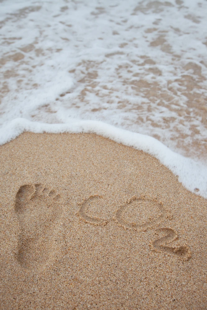 Footprint and co2 written in sand