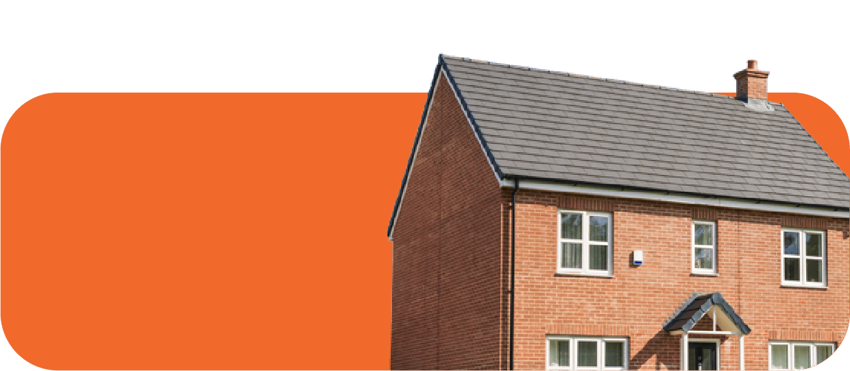 New Build Button@3X 8