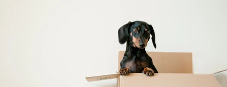 Does the Bank of England base rate affect my mortgage?