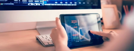 A review of the Consumer Price Index