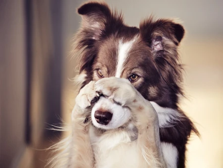 Why pay more than you need to?