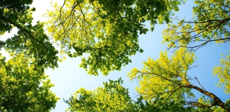 Have you got a spring in your step? Our 5 top tips for spring cleaning your home