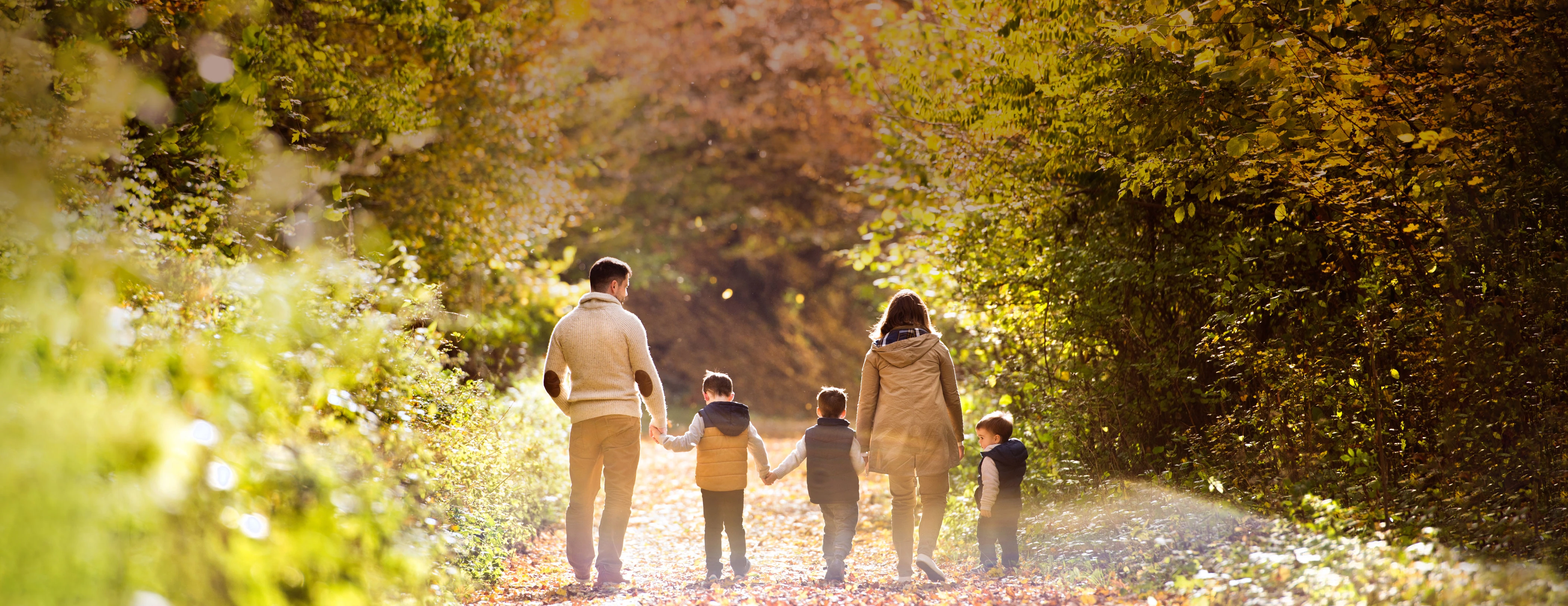 A family on a woodland walk
